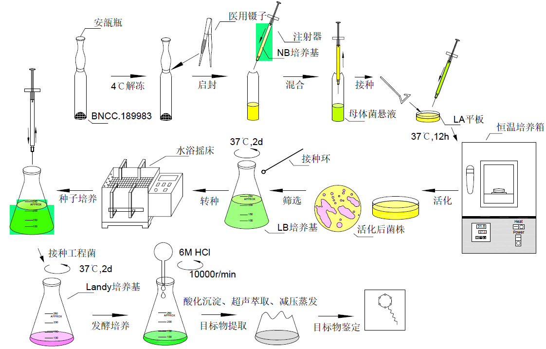 attachments-2021-02-2GTqspnp6037480364104.png